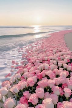 the beach is lined with pink roses as the sun sets over the ocean in the background