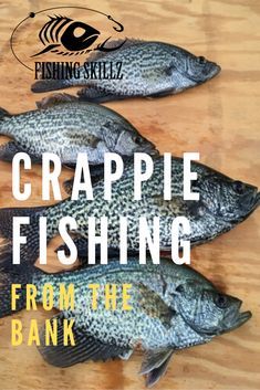 crappie fishing from the bank with caption on wooden table and text overlay reading crappie fishing from the bank