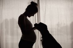 a pregnant woman with her dog in silhouette