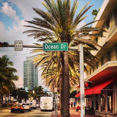 an ocean drive street sign with palm trees in the foreground and buildings in the background