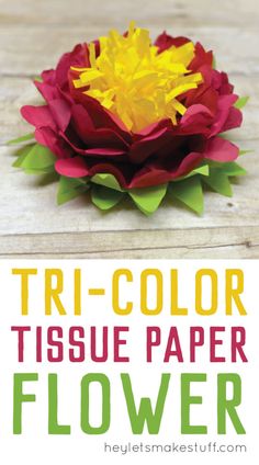 an origami flower with the words tri - color tissue paper flower on it