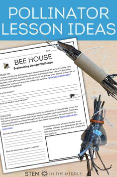 an insect project with text that reads pollinator lesson ideas bee house engineering design challenge