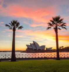 two palm trees are in front of the sydney opera house as the sun is setting