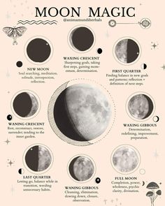 Lunar Birth Phase, Moon Cycle Drawing, New Moon Illustration, Witchcraft Journal, Lunar Witch, Lunar Magic, The Phases Of The Moon, Moon Phase Calendar