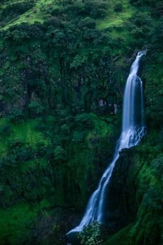 a large waterfall in the middle of a lush green forest