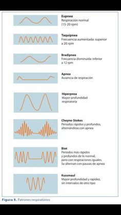 the different types of sound waves are shown in this diagram, and there is also an explanation