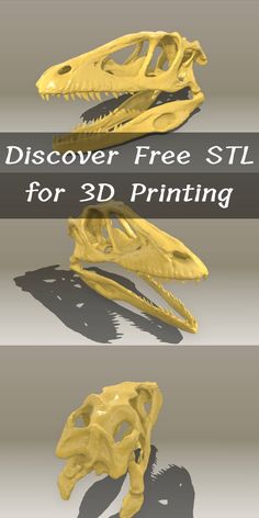 Cool 3D printing idea and free stl for downloading.3D printed Dinosaur skull with STL file, find & download dinosaur 3d print model on 3dpea and build it with 3D printer. Stl Files 3d Printing Free, Free Stl Files 3d Printer, 3d Printing Ideas Projects, 3d Printer Projects Free, Free 3d Printer Files, Cool 3d Printing Ideas, 3d Printer Ideas, Printer Crafts