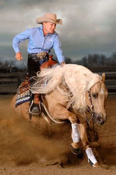 a man riding on the back of a white horse