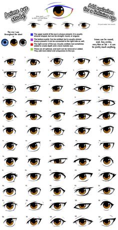 an eye chart showing the different types of eyes and how they are used to draw them