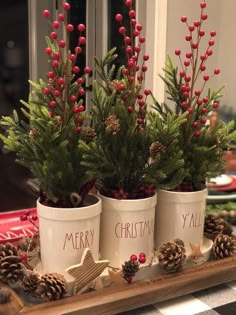 three christmas planters with pine cones and red berries in them sitting on a tray