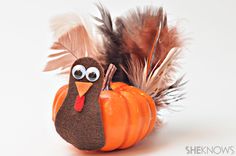 a stuffed turkey sitting on top of a fake pumpkin with feathers around it's legs