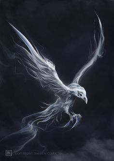 Form Reference, Raven Artwork, White Raven, White Crow, Yennefer Of Vengerberg, Raven Tattoo, White Spirit