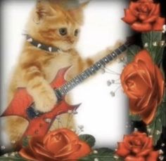 an orange cat with a red guitar and roses