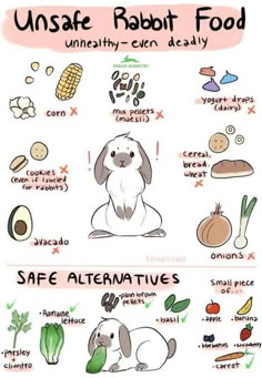 an animal's life cycle with different foods and words on the page, including carrots