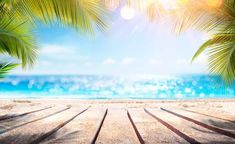 an empty beach with palm trees and the sun shining over the ocean in the background