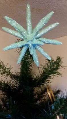 a blue star ornament hanging from the top of a green christmas tree branch