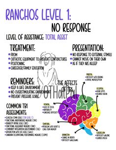 Hi guys! Here is a 10-page study guide of the Rancho Los Amigo Scale. Very helpful for students going into school for occupational therapy, physical therapy, nursing, and more! Study guide includes: - Treatment ideas - Presentation of each Ranchos Level - Key reminders & helpful tips for each level - Level of assistance of each Ranchos Level - Common assessments used for traumatic brain injuries - And the affects of TBIs on the brain Occupational Therapy Study Guides, Ranchos Los Amigos Scale, Occupational Therapy School, Nbcot Exam, Occupational Therapy Schools, Traumatic Brain Injuries, Physical Therapy Student, Brain Injuries, Occupational Therapy Assistant