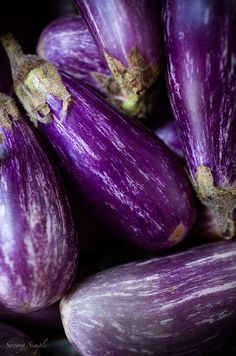 the eggplant is purple in color