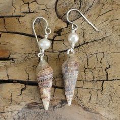 two seashells are hanging from silver earwires on a piece of wood