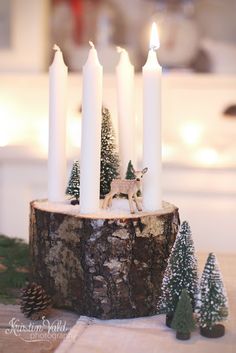 some white candles sitting on top of a wooden stump with small trees in the background