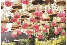 pink flowers hanging from the ceiling in a garden