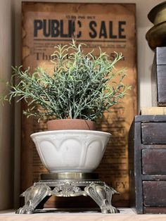 a potted plant sitting on top of a wooden table next to an old book