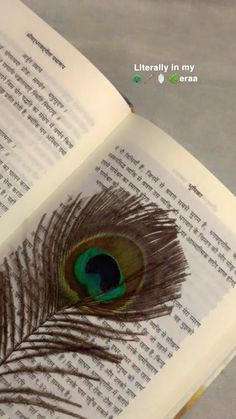 an open book with a peacock feather on it