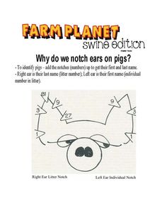 an advertisement for the farm planet wine edition, featuring a pig's nose and ears