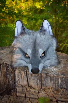 a grey wolf head sitting on top of a tree stump