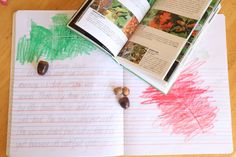 an open book sitting on top of a table next to writing paper and acorns