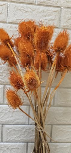 dried flowers in a vase against a white brick wall