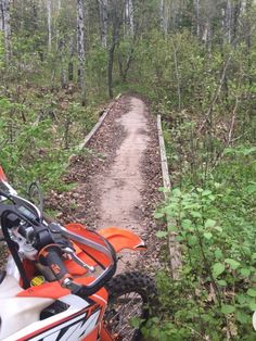 an orange and white dirt bike parked on a trail in the woods next to trees