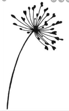 a black and white photo of a dandelion