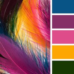 colorful feathers with different colors are shown in this color scheme for the wallpapers