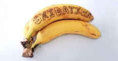 two bananas with the words exidation written on them are sitting next to each other