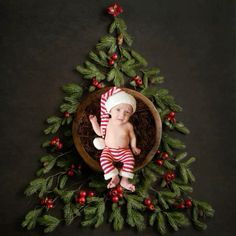 a baby is laying in a bowl on top of a christmas tree