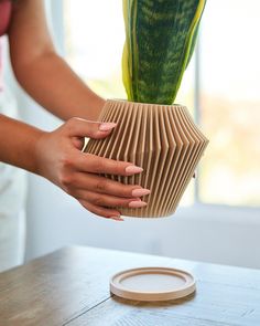 a woman is holding a plant in a vase