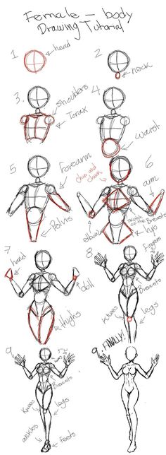 How to draw body - Dibujos de Cuerpos Humanos Reales paso a paso Manga Proportions Body Tutorial, Human Atonomy Drawing Sketch, Drawing Body Guidelines, Atonomy Drawing Human Poses, Upper Body Tutorial Drawing, Step By Step Body Tutorial, Face Drawing Studies, Female Proportions Drawing, Body Antonym Drawing