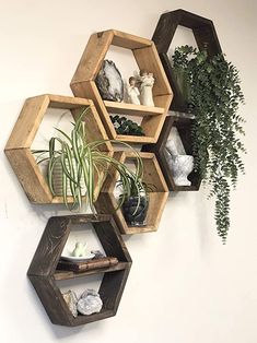 three wooden hexagonal shelves with plants and rocks on them against a white wall