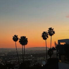 palm trees are silhouetted against an orange sky at sunset in the cityscape