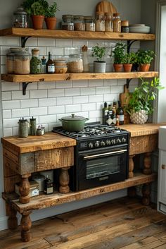 a stove top oven sitting inside of a kitchen next to shelves filled with potted plants