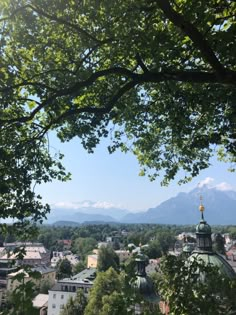 the city is surrounded by trees and mountains