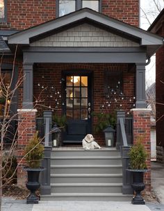 a dog sitting on the steps of a house