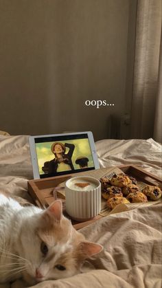 an orange and white cat laying on top of a bed next to a tray with cookies