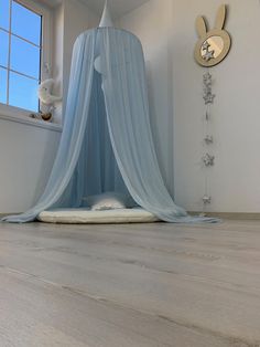 a bed that is in the middle of a room with a blue canopy over it