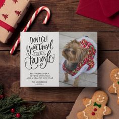 a christmas card with gingerbread cookies and a photo of a dog wearing a sweater