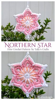 two crocheted ornaments hanging from a tree with the words northern star written on them