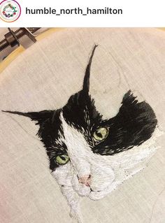 a black and white cat with green eyes is on a piece of fabric in a hoop