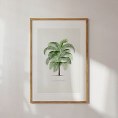 a palm tree in a wooden frame hanging on the wall next to a white wall