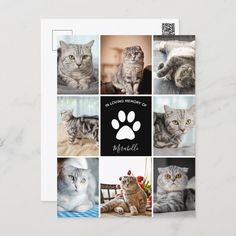 there are many different pictures of cats on this card